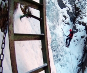 R407-G256-B309-EI166-ET00178-EG004