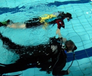 potapaci-manta_3-w900-h700